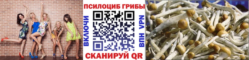 Псилоцибиновые грибы ЛСД  Сердобск 