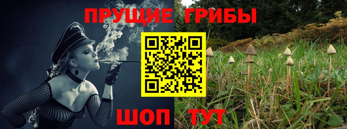 Псилоцибиновые грибы Magic Shrooms Сердобск