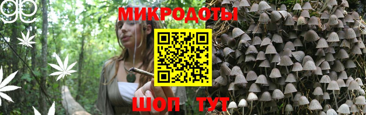 Псилоцибиновые грибы MAGIC MUSHROOMS  Псилоцибиновые грибы Psilocybe  Сердобск  Вход с VPN 